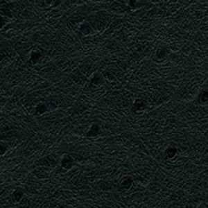 Contempo Vinyl Ostrich Ebony.jpg